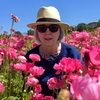 rosebudrobins